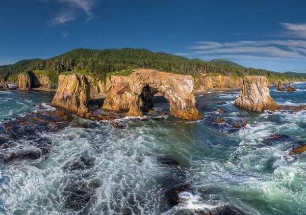 Мыс птичий великан Сахалин