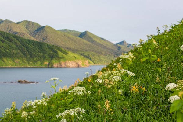 Мыс великан Сахалин