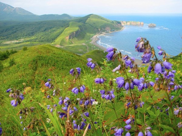 Охотское море Анива