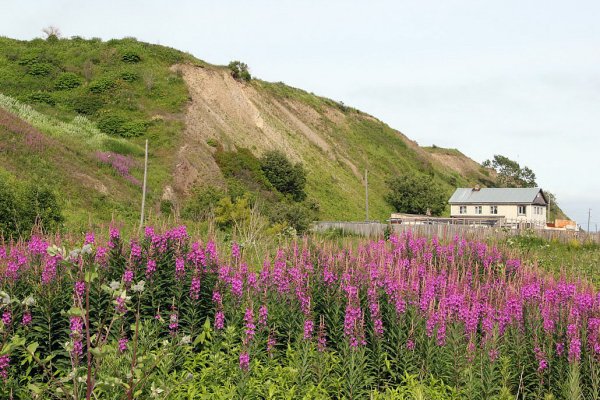 Южно-Сахалинск сопки природа