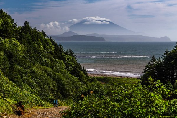 Остров Янкича Курилы