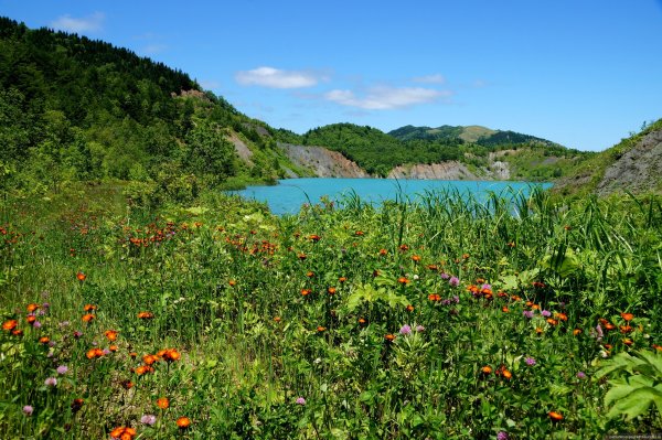 Бухта Тихая Сахалин