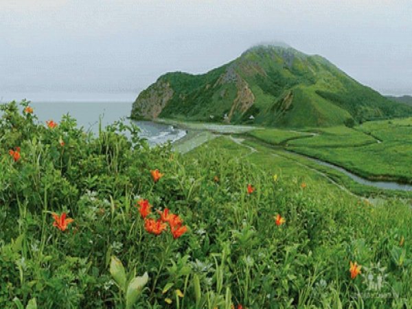 Село Лесное Сахалинская область