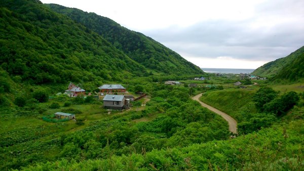 Курильские острова Кунашир растения