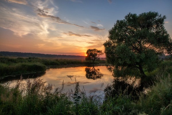 Летний вечер" ф. и. Тютчева