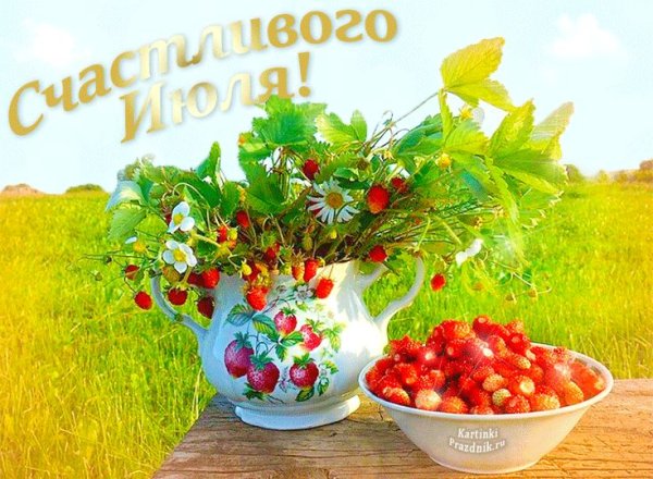 1 Июля макушка лета