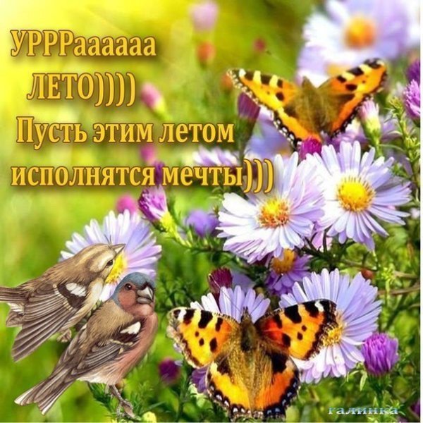Пусть лето будет летом
