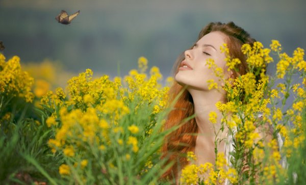 Счастье солнце