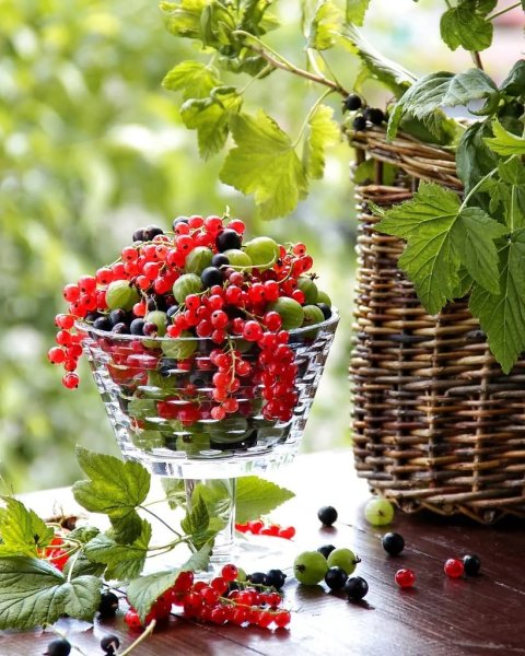 Последние дни уходящего лета