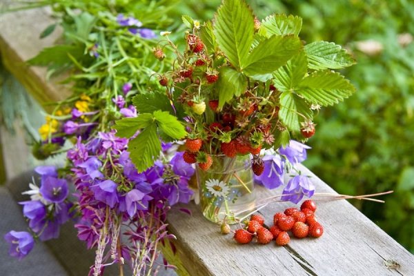 Картинки о лете