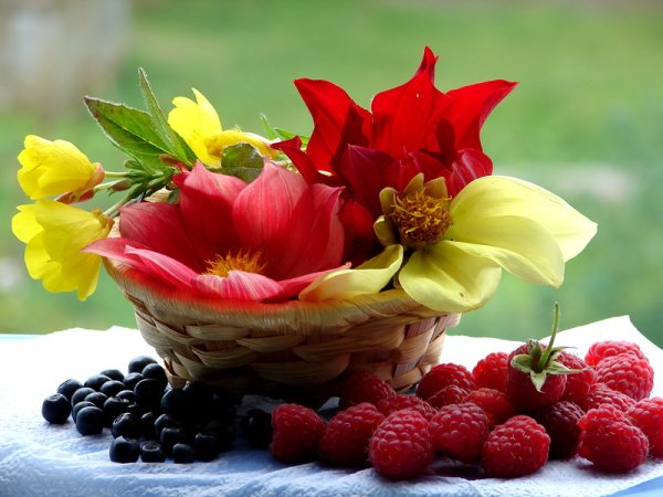 Цветочное поле