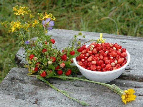 Корзина с ягодами