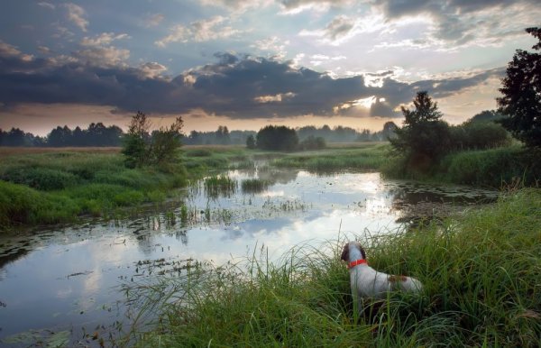Рыбалка пейзаж