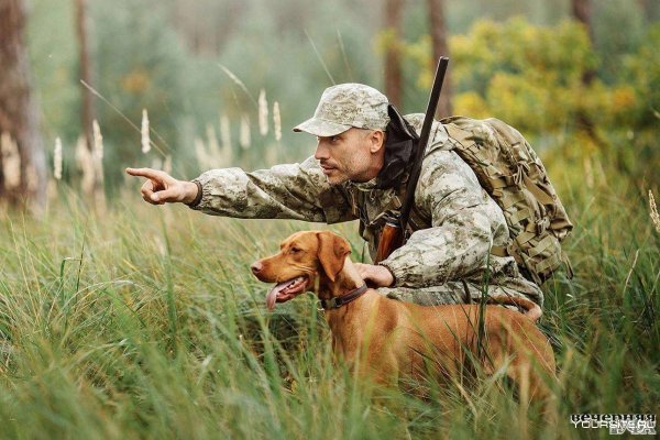 Охотничьи пословицы и поговорки