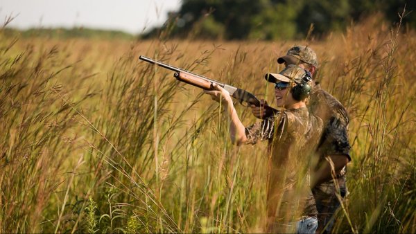 Охотничья стрельба