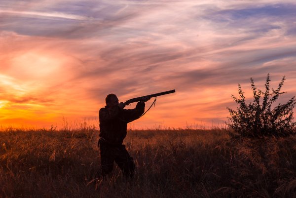 Охотник на фоне заката