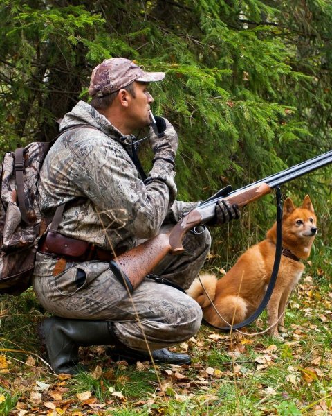 Современная охота