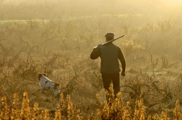 Охота летом