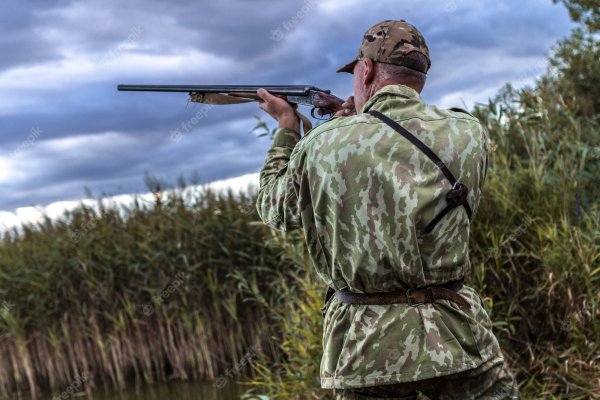 Лето сезон охоты