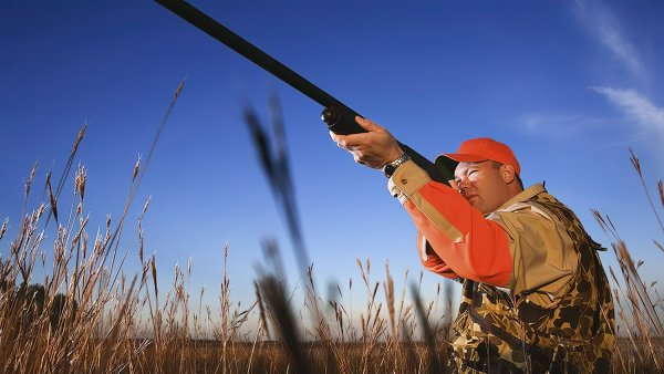 Охота осень