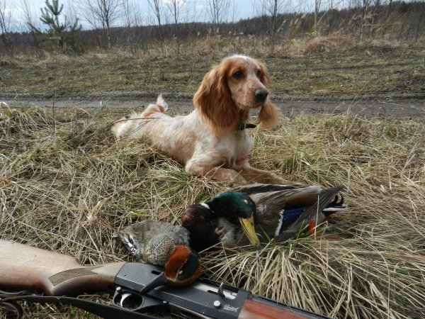 Охотник в лесу