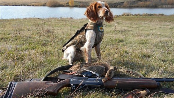 Охота и рыбалка