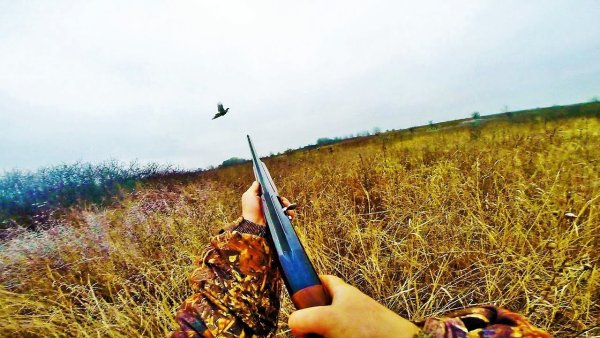 Охотники на привале