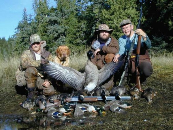 Картины Филлип р Гудвин