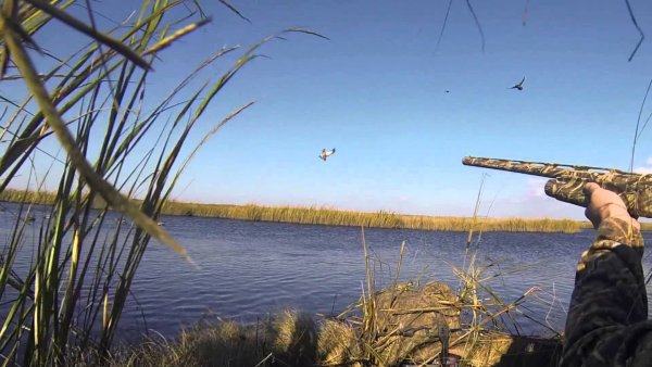 Пейзаж с охотником