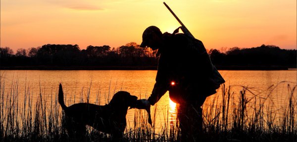 Птица и охотник