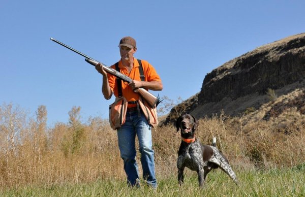 Летняя охота