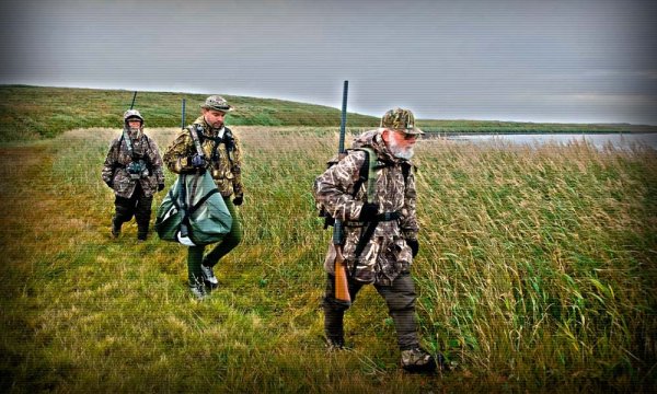 Птица и охотник