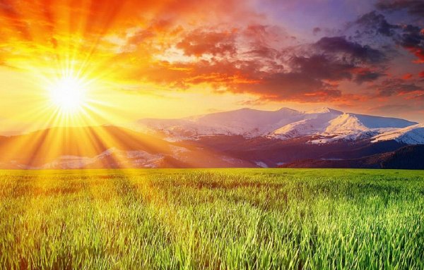 Тадж-Махал Индия на рассвете