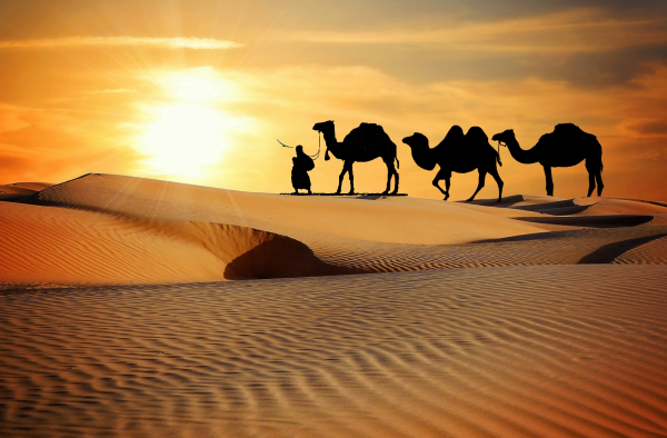 Восток Тадж Махал