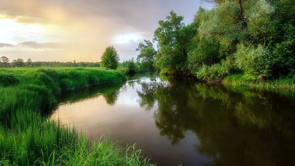 Фон для рабочего стола река