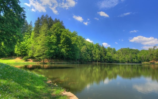 Летний пейзаж