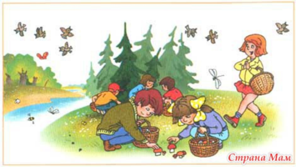 Катаев грибы