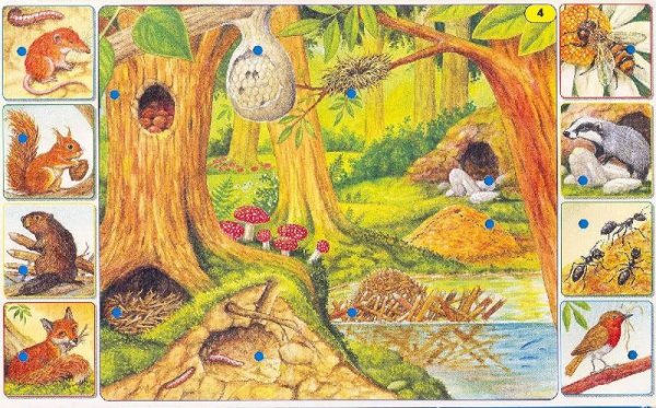 Сюжетные картины для детей