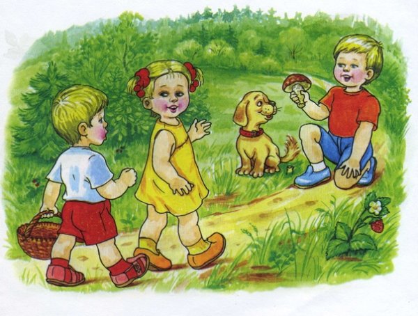 Лето в лесу сюжетные картинки