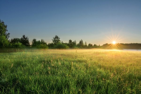 Утро лето