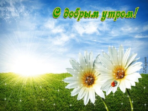 Вечернее солнце