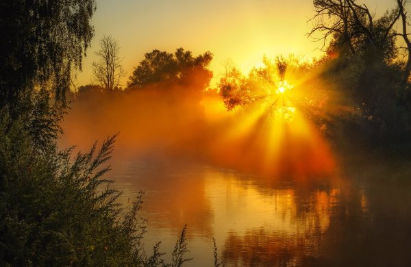 Доброе солнечное утро лето