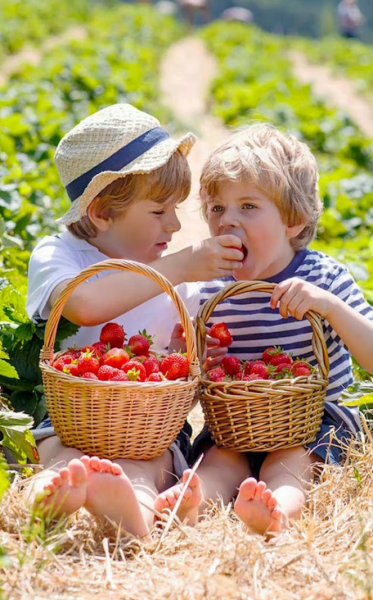 Радостные дети