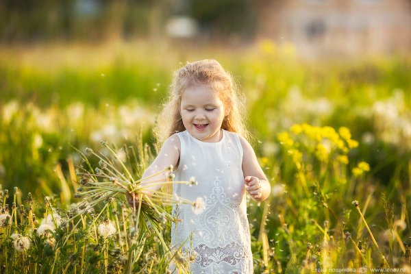 Летняя прогулка в детском саду