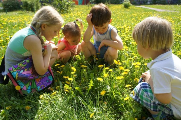Одуванчик для детей