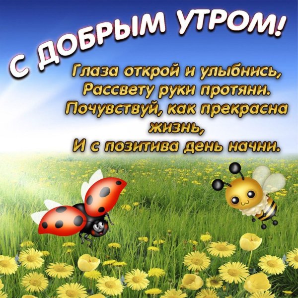 С добрым утром
