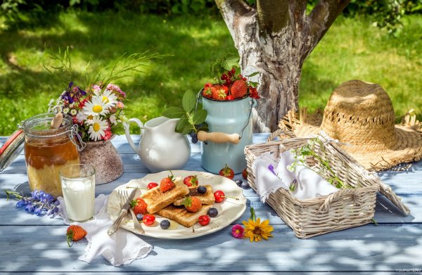 Пикник на природе