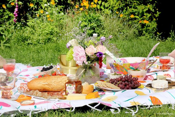 Блюда для пикника на природе