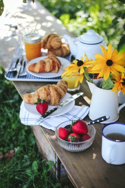 Летний завтрак на природе