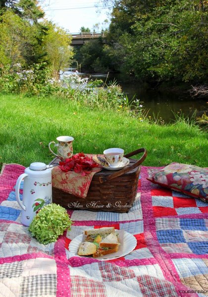 Летний пикник на природе